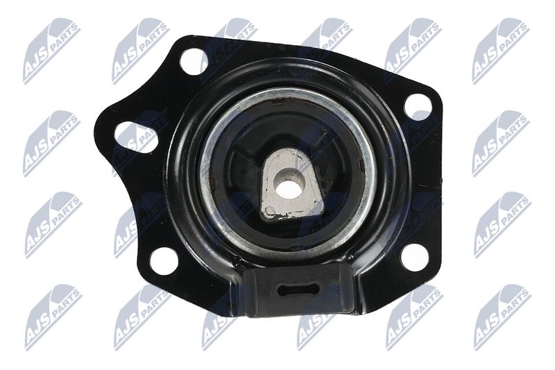 Paigutus, Mootor, NTY ZPS-CH-014