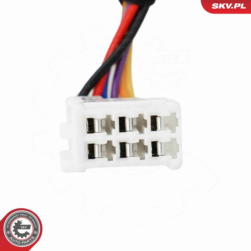 ESEN SKV 52SKV215 Electric Motor, tailgate
