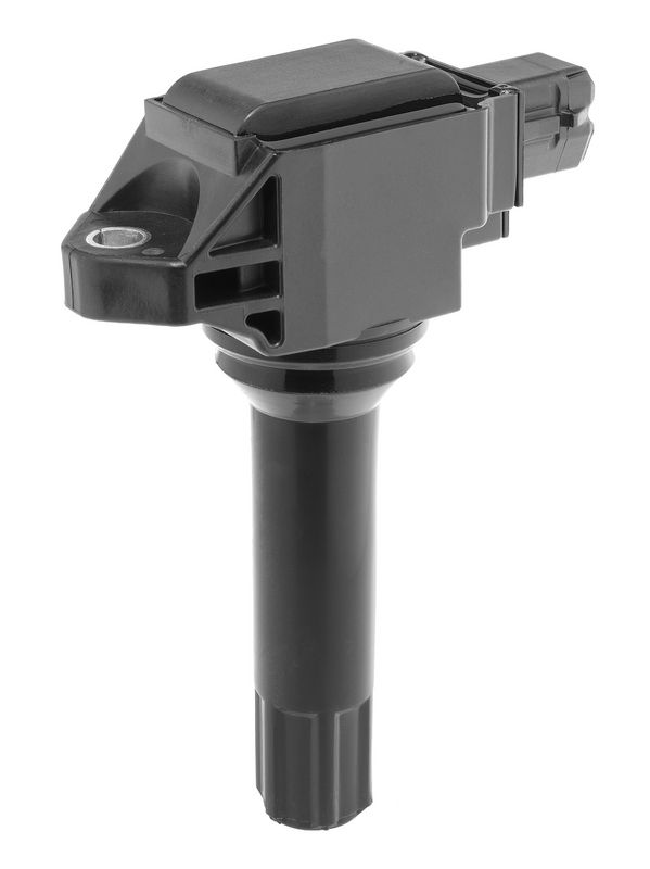 ZS633_02.JPG