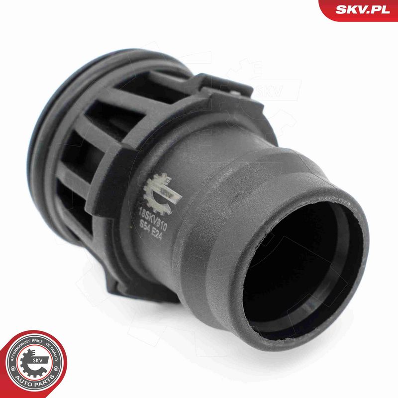 ESEN SKV 18SKV810 Repair Set, vacuum pump (braking system)