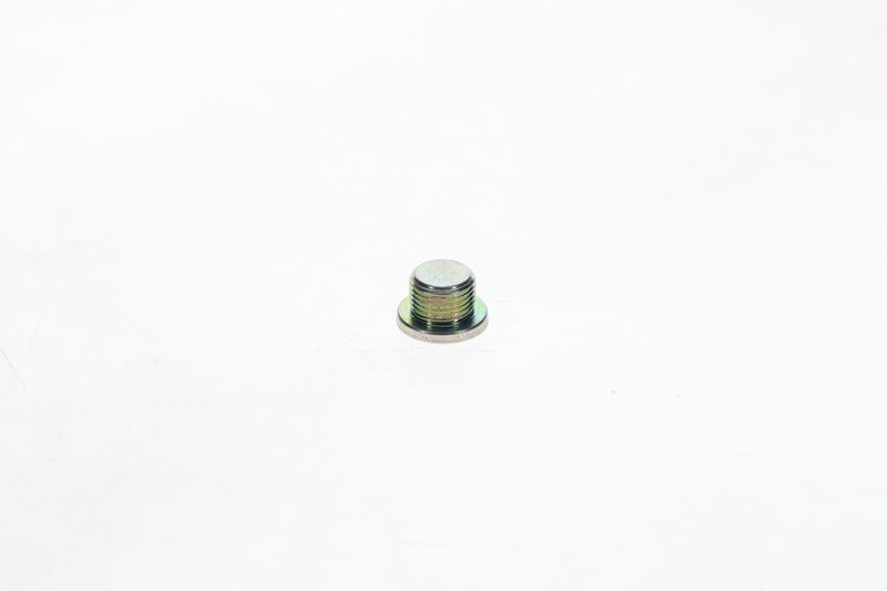 Surub F 002 D13 566 BOSCH