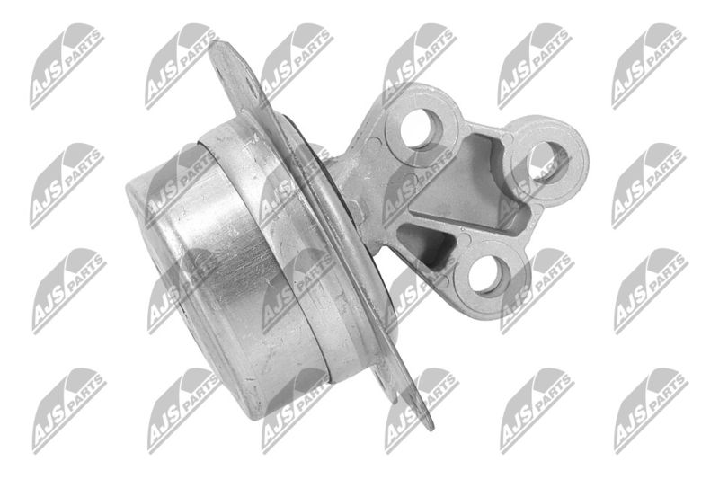 Paigutus, Mootor, NTY ZPS-PL-025