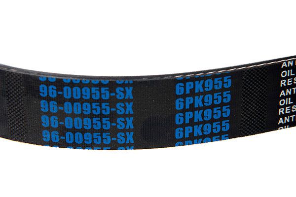 STELLOX 96-00955-SX V-ribbed Belt