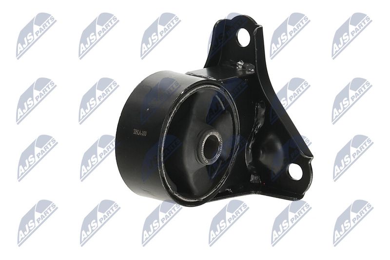 Paigutus, Mootor, NTY ZPS-KA-300