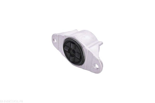 RULMENT SARCINA SUPORT ARC AUTOMEGA 250611310 1