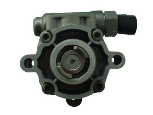 SPIDAN 54496 Hydraulic Pump, steering