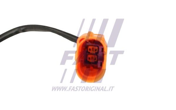 FT80274_4_1.JPG