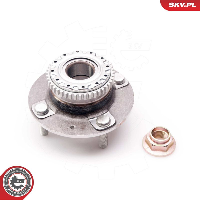 Rattalaagrikomplekt, ESEN...