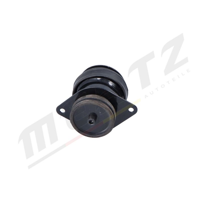 MERTZ M-S5446 Mounting, engine