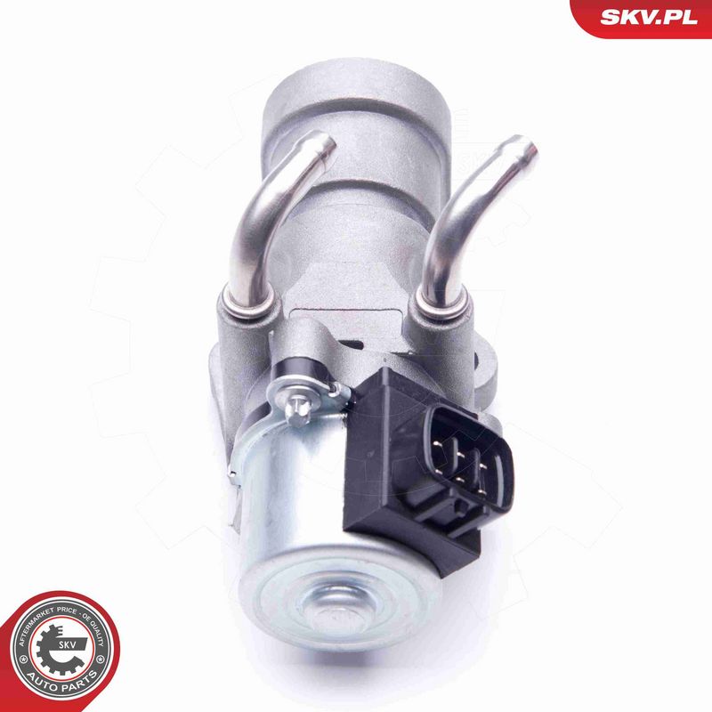 ESEN SKV 14SKV190 EGR Valve