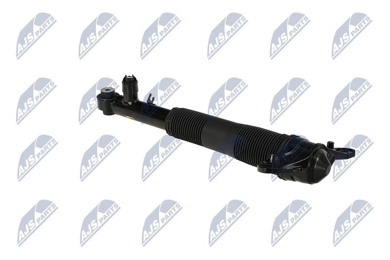 Amort, NTY A-LR-037