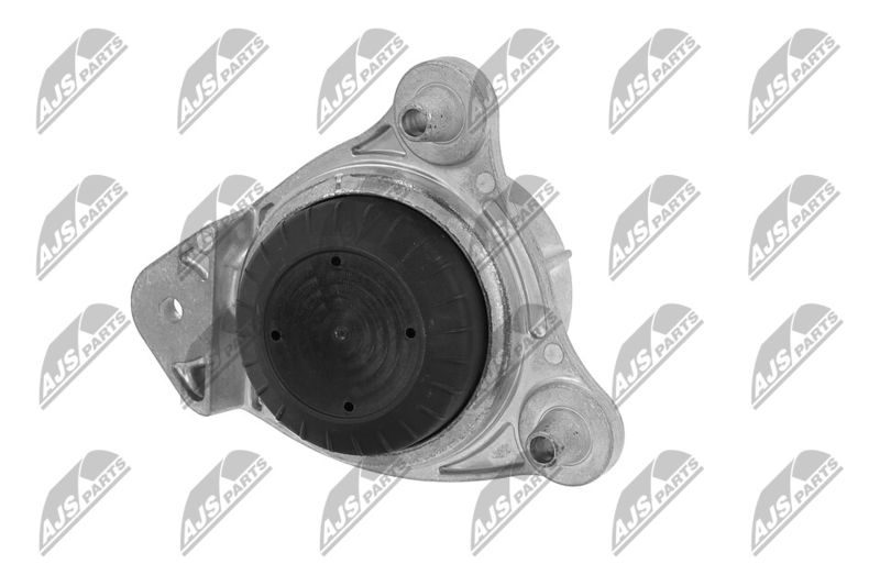 Paigutus, Mootor, NTY ZPS-ME-066