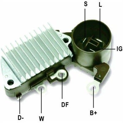 DDF_AMP0819_WR.JPG