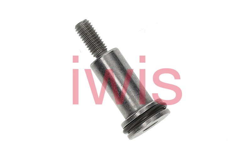 Bolt patina lant distributie 60248 AIC