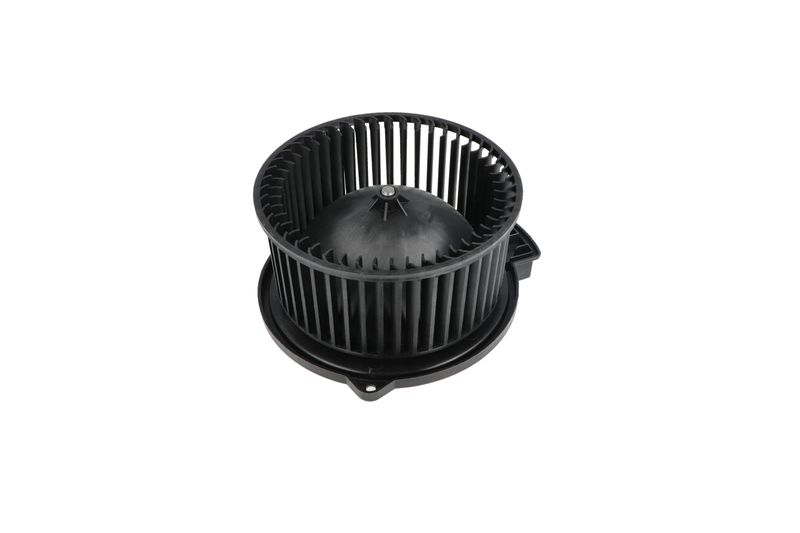 Salongipuhur, NRF 34331