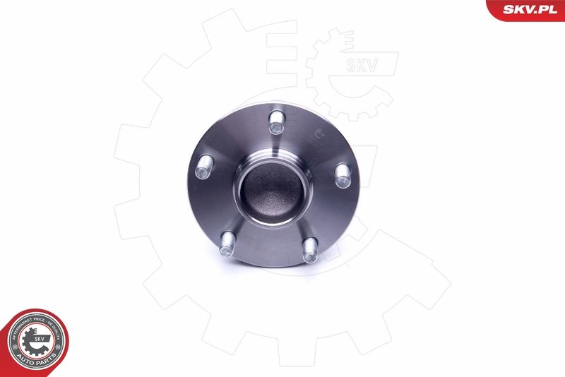 ESEN SKV 29SKV277 Wheel Bearing Kit