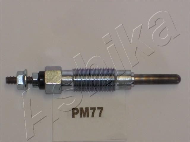 PM77_1.JPG