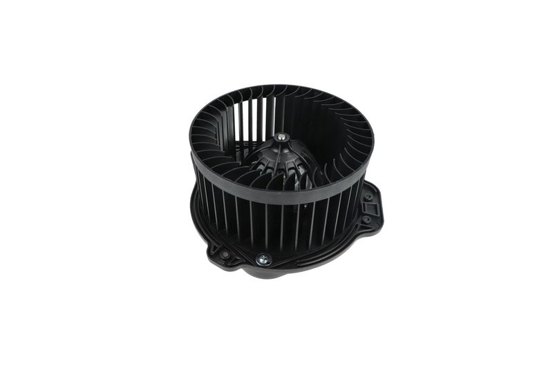 Salongipuhur, NRF 34136