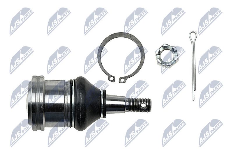 Kande-, juhtliigend, NTY ZSD-CH-002