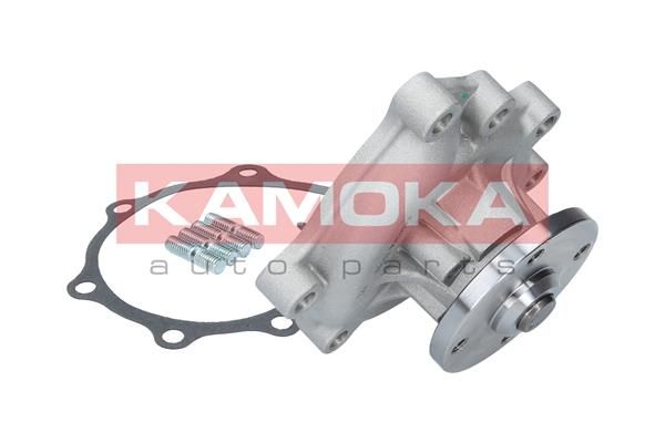 KAMOKA T0169 Water Pump, engine cooling