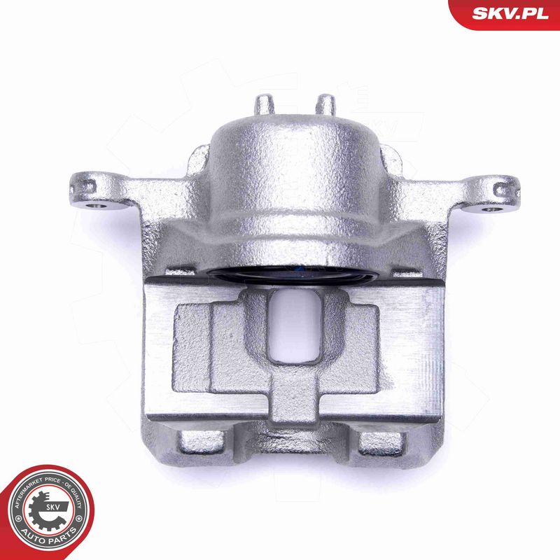 ESEN SKV 50SKV421 Brake Caliper