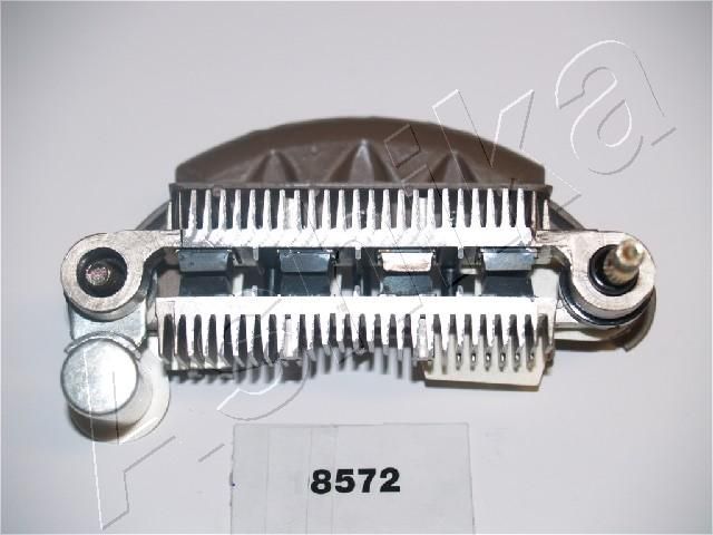 118-8572_1.JPG