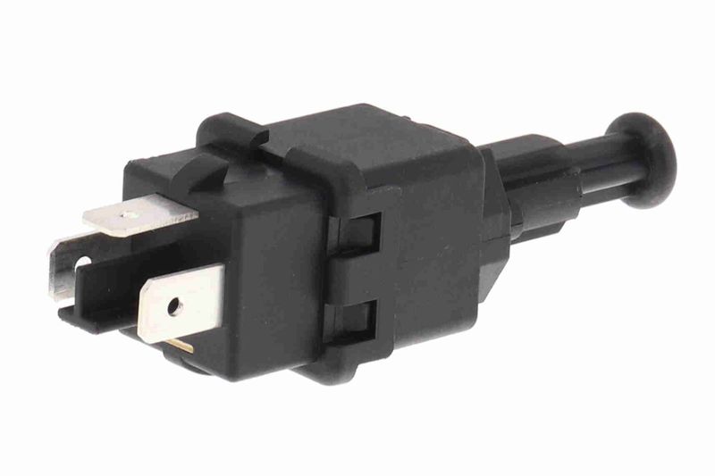 V40-73-0090_02.JPG