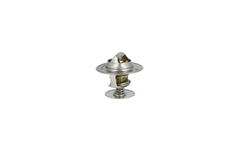 NRF 725253 Thermostat, coolant