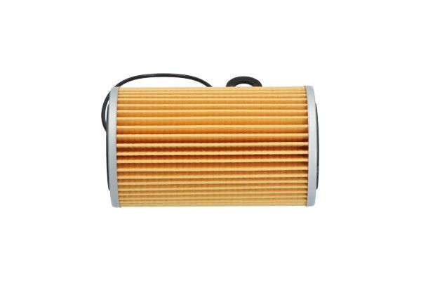 Kavo Parts IO-318 Oil Filter