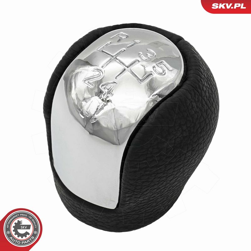 Käigukanginupp, ESEN SKV...