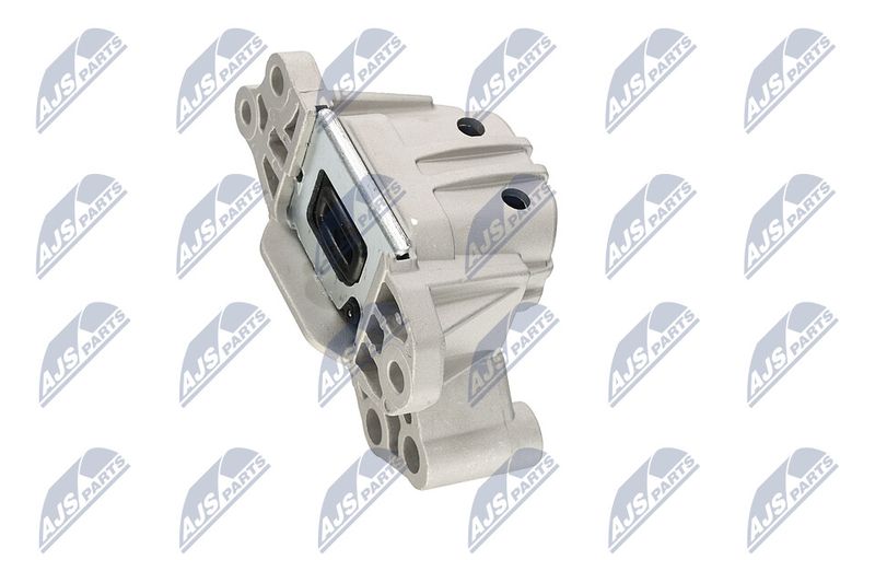 Paigutus, Mootor, NTY ZPS-CH-133