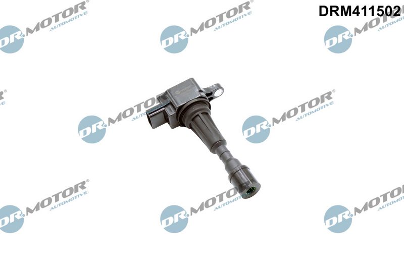 Dr.Motor Automotive Ritė, uždegimas