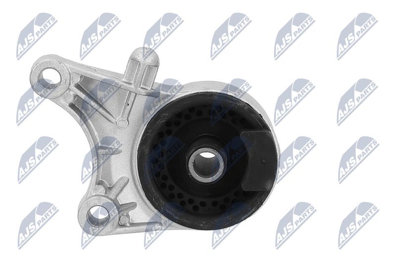 Paigutus, Mootor, NTY ZPS-PL-036
