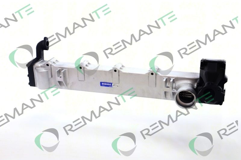 REMANTE 010-001-000029R - EGR modulis