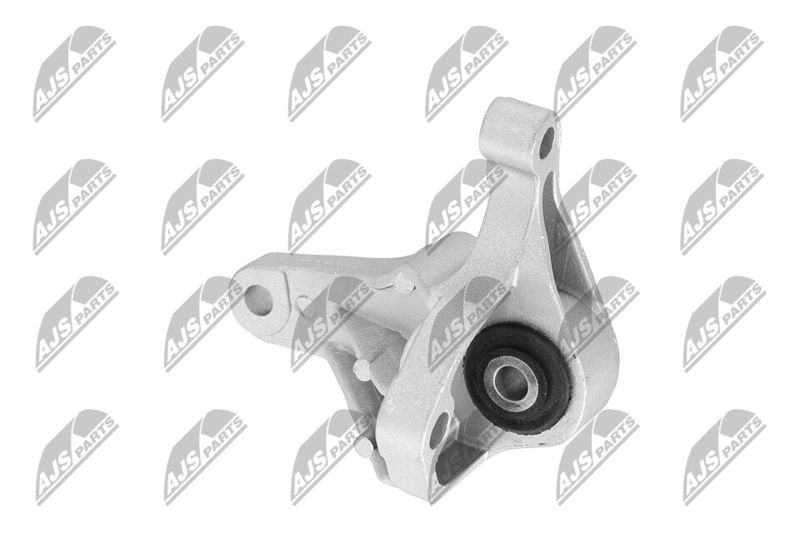 Paigutus, Mootor, NTY ZPS-FR-049