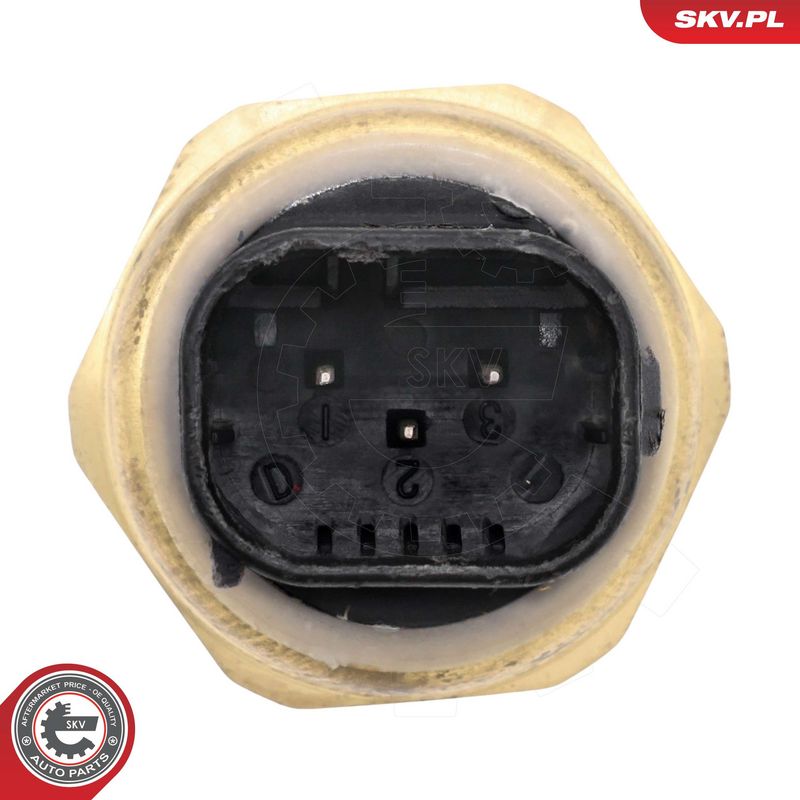 Andur, kütuserõhk, ESEN SKV 95SKV144