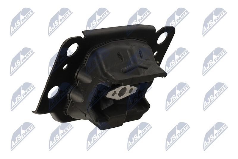 Paigutus, Mootor, NTY ZPS-FR-036