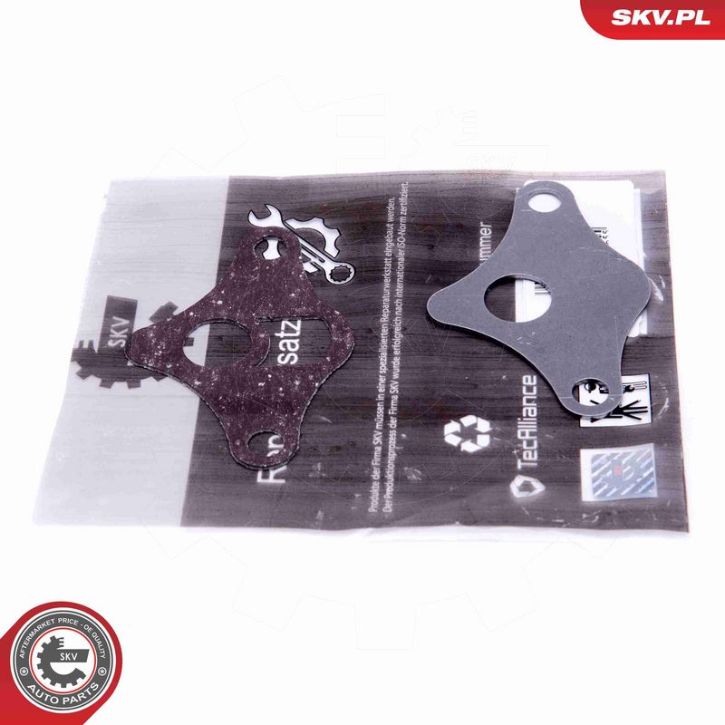 Set de reparație, supapă AGR ESEN SKV 14SKV522