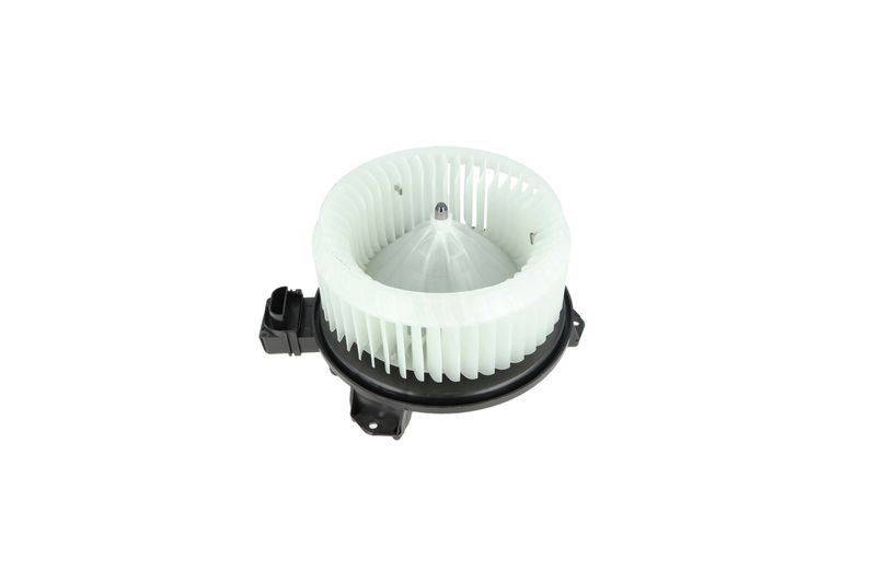 Salongipuhur, NRF 34244