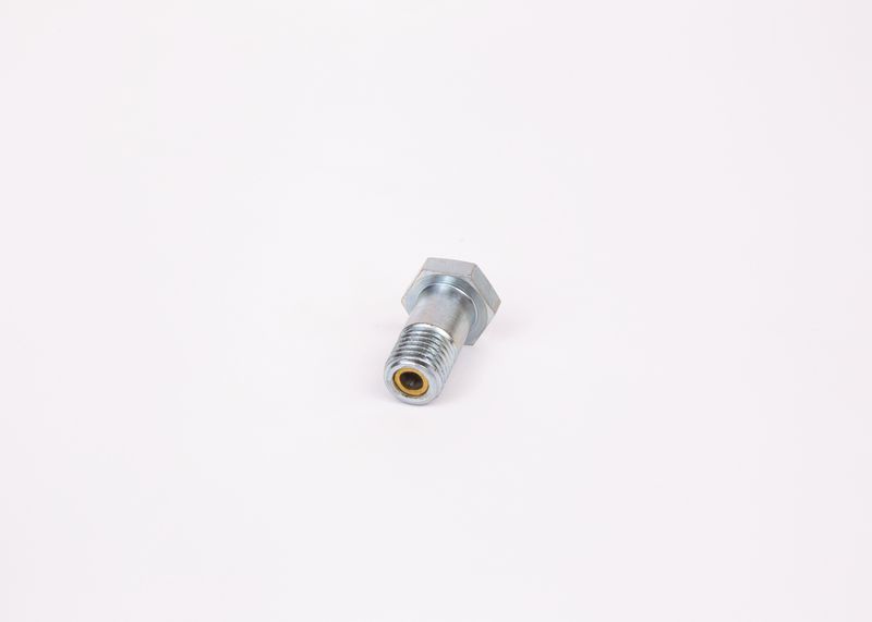 Surub 1 463 456 344 BOSCH