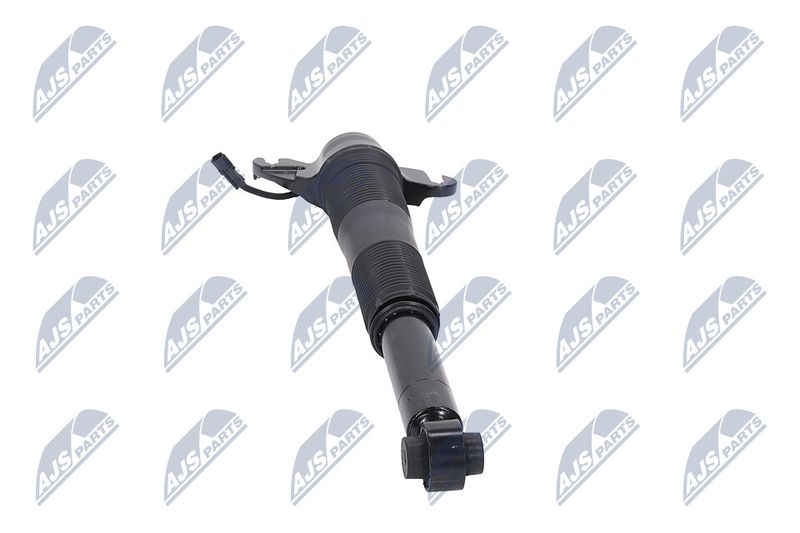 Amort, NTY A-LR-021