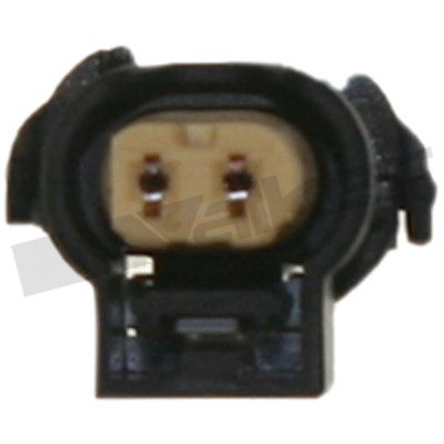 273-20355_4.JPG