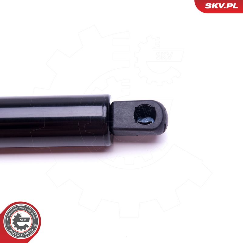 Gaasivedru, pagasi-, veoruum, ESEN SKV 52SKV521