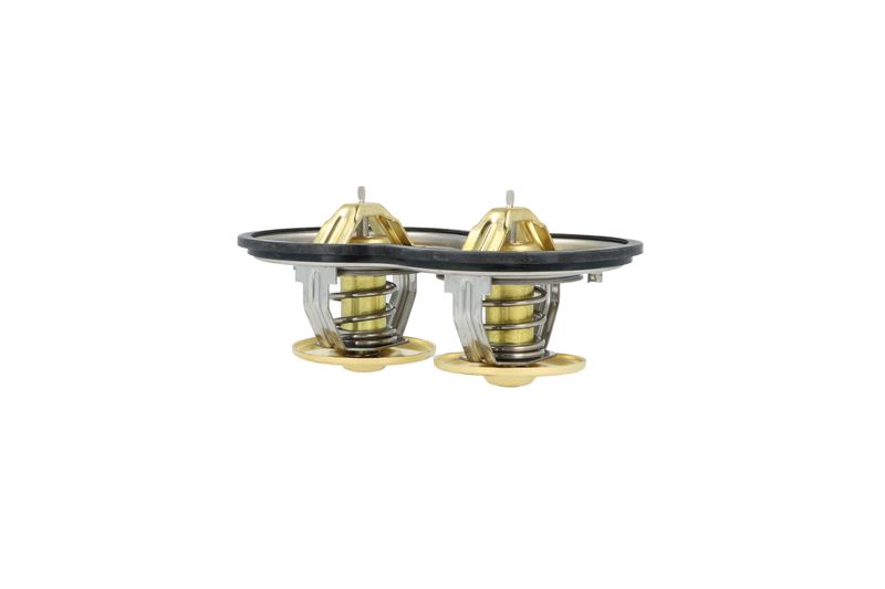Termostat, chladivo 725374