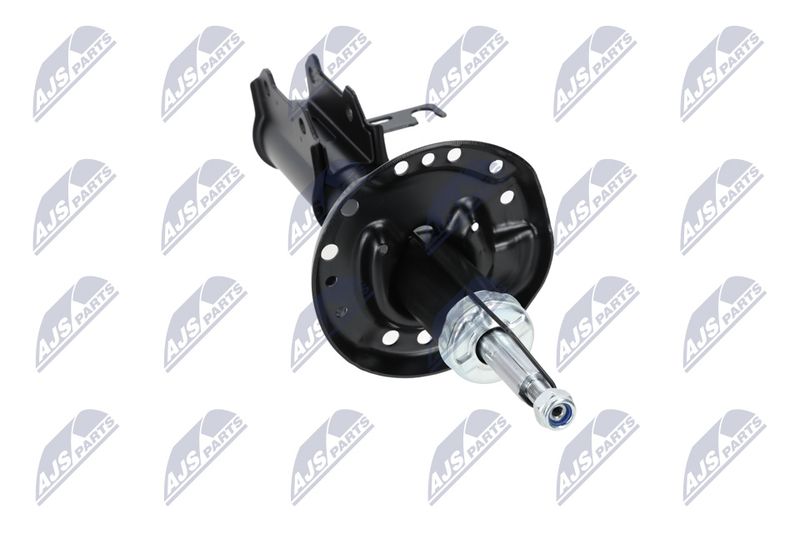 Amort, NTY A-PL-029