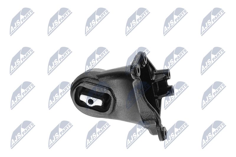 Paigutus, Mootor, NTY ZPS-CH-173