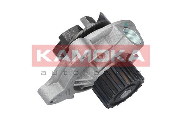 KAMOKA T0271 Water Pump, engine cooling