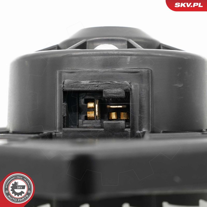 Salongipuhur, ESEN SKV...