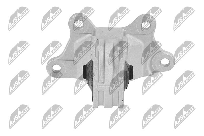 Paigutus, Mootor, NTY ZPS-MS-030