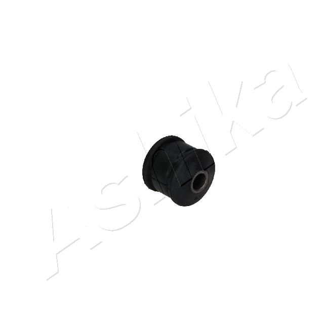 GOM-S09_1.JPG
